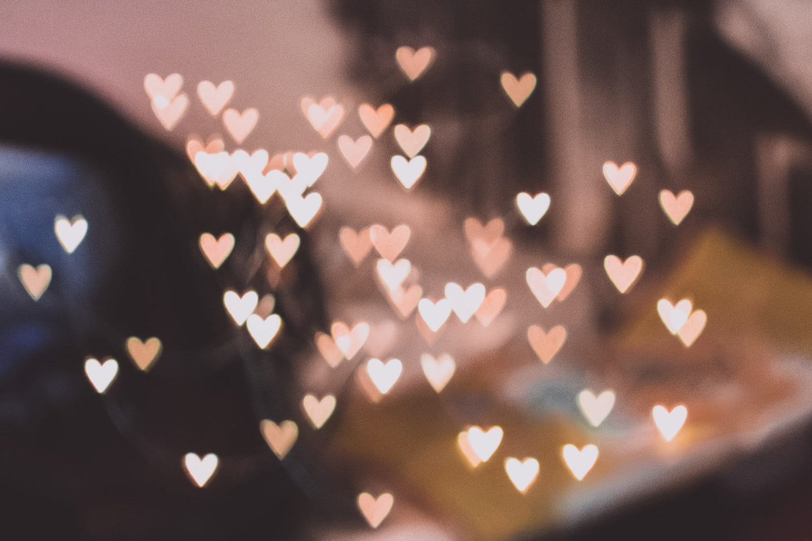 Valentine's Day Specials